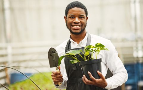 Agribusiness & Food Production